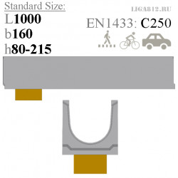 Лотки бетонные ЛВБ Plus DN100 C250 с вертикальным водоотводом